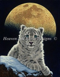 Moon Leopard HAED `[g